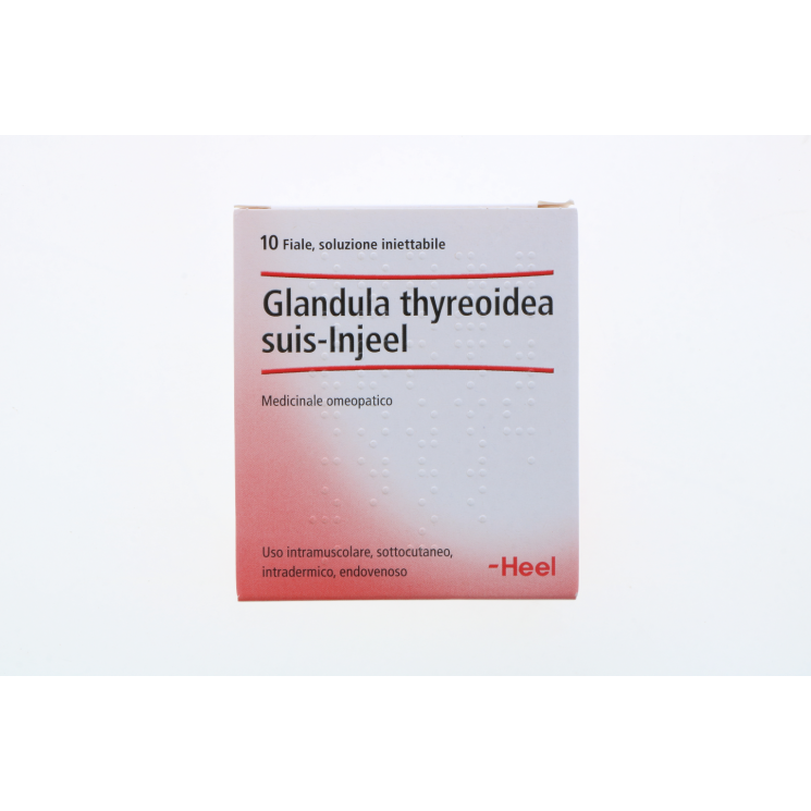 Glandula Thyreoidea Suis Injeel Heel 10 Fiale 1,1ml