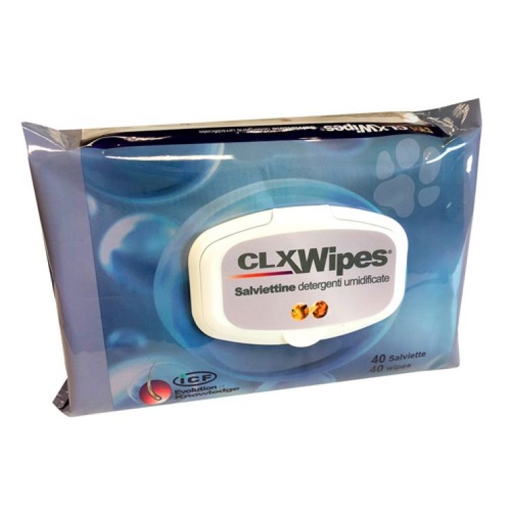 CLX Wipes 40 Salviette