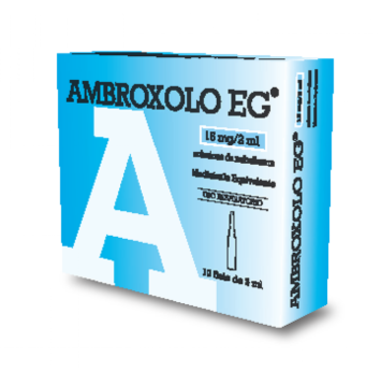 Ambroxolo EG Aerosol 10 Fiale 15 mg/2 ml 