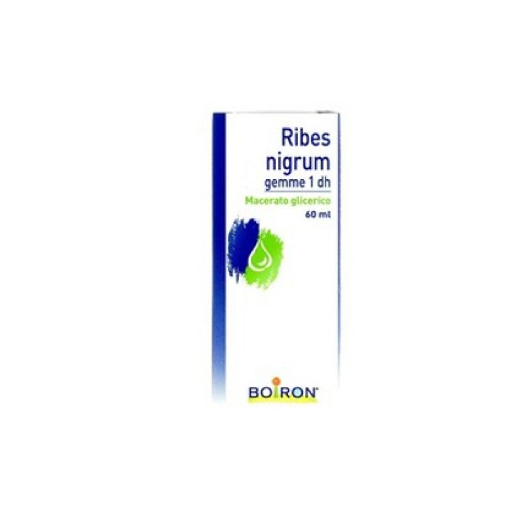 Ribes Nigrum Gemme 1Dh Macerato Glicerico 60 ml 800028021