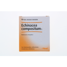 Echinacea Compositum S Heel 10 Fiale  Fiale 