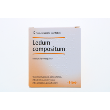 Ledum Compositum Heel 10 Fiale 2,2ml Fiale 