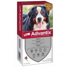 Advantix Spot-On Per Cani Oltre 40Kg Fino a 60Kg 6 Pipette Antiparassitari 