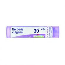 Berberis vulgaris 30Ch Granuli Unassigned 