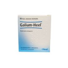 Galium Heel 10 Fiale 1,1ml Fiale 