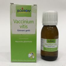Vaccinium Vitis 60ml Polivalenti e altri 