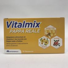 Vitalmix Pappa Reale 10 Flaconcini da 10ml Senza Glutine Tonici e per la memoria 