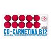 Cocarnetina B12 10 Flaconcini orali 10ml