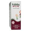 Kaloba Sciroppo 20 mg/7,5 ml Flacone 100 ml